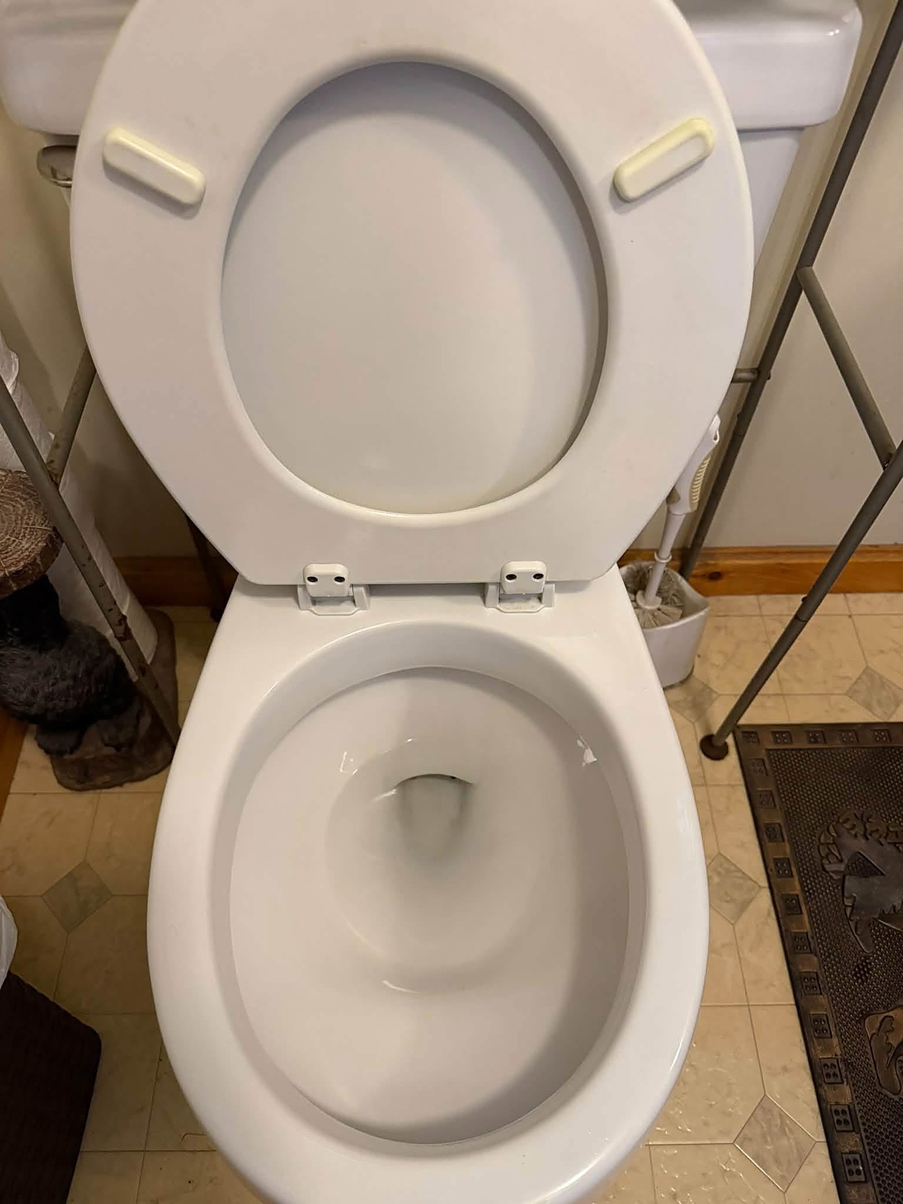 After: the same toilet with a spotless white bowl and seat