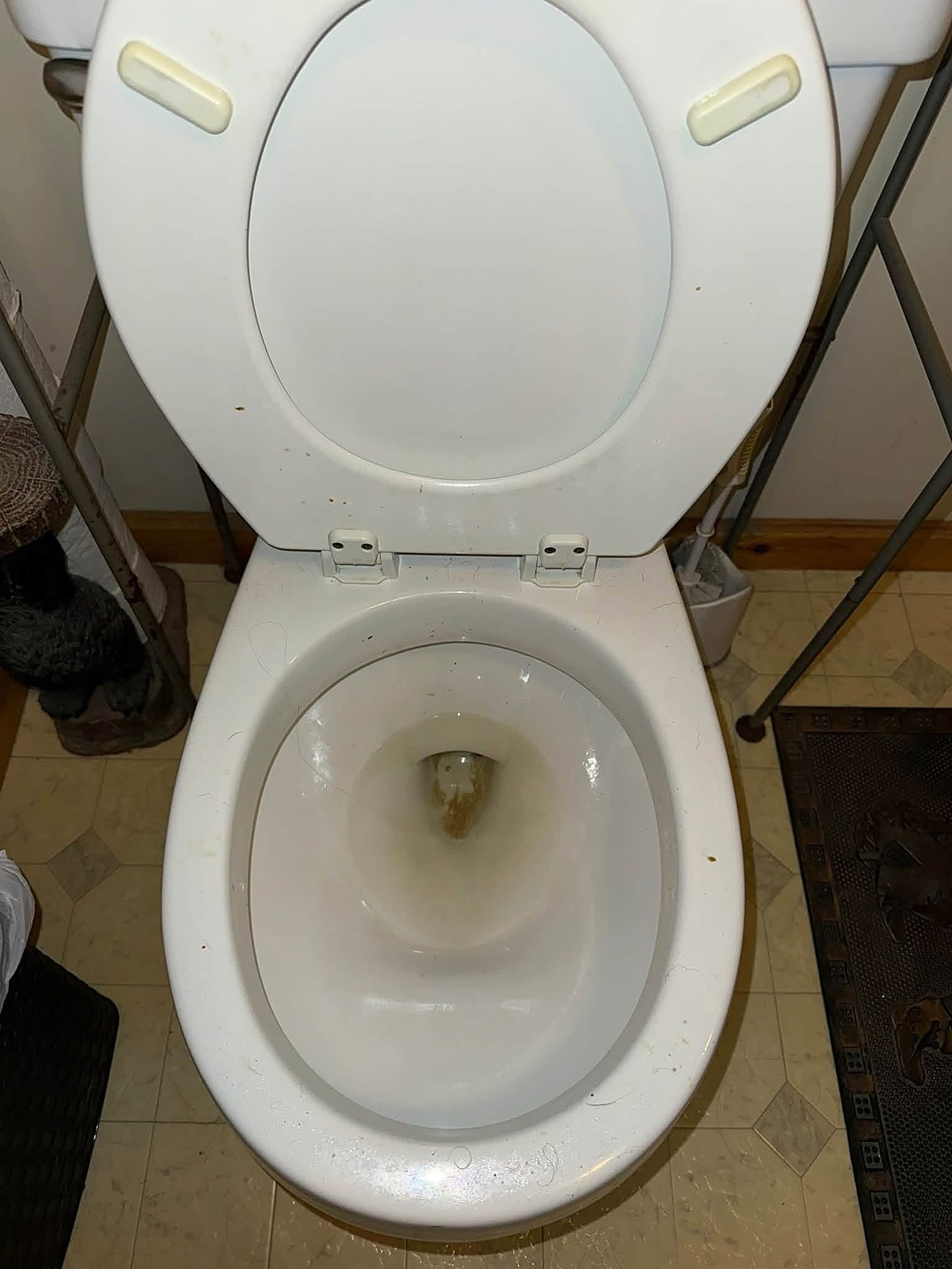 Before: toilet with a stained bowl and a dingy seat
